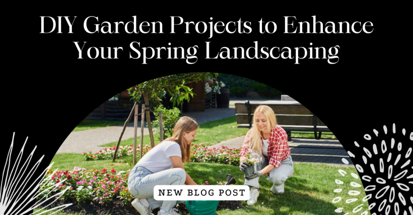 DIY Garden Projects to Enhance Your Spring Landscaping